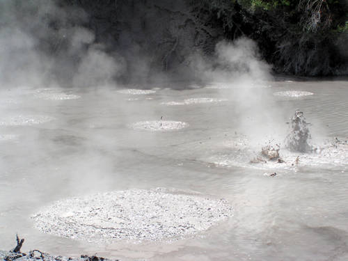 NZ Mud Pool